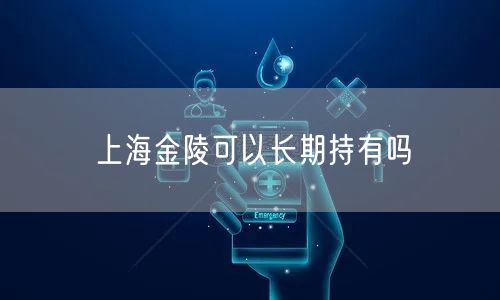 上海金陵可以长期持有吗